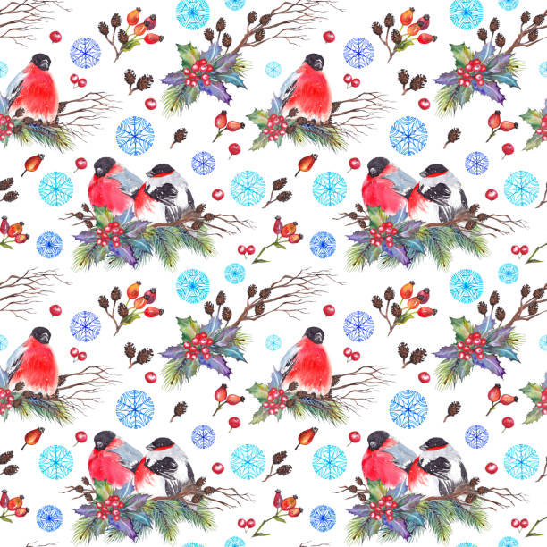 ilustraciones, imágenes clip art, dibujos animados e iconos de stock de patrón sin fisuras con los pájaros camachuelo - january pine cone february snow
