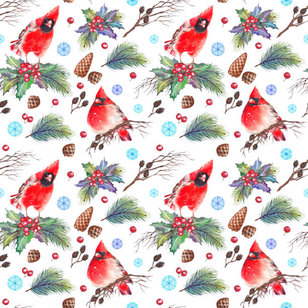 ilustraciones, imágenes clip art, dibujos animados e iconos de stock de patrón transparente con rojo cardenales norte - january pine cone february snow