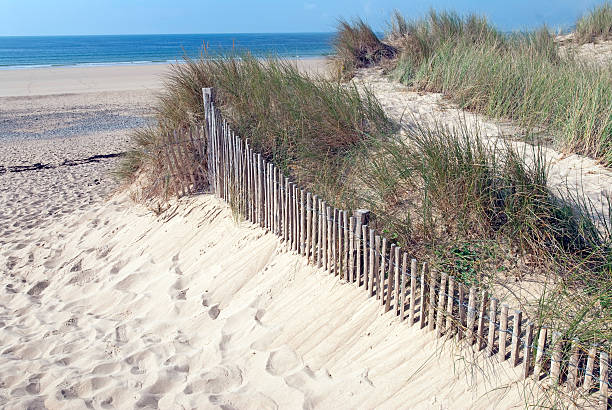 istock Dune landscape on the Cotentin peninsula, Normandy, France 105639172