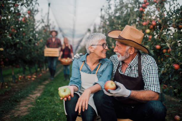 istock Couple hugging at apple orchard 1056392442