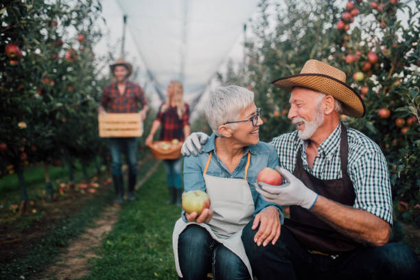 istock Happy old couple hugging at apple field 1056392618