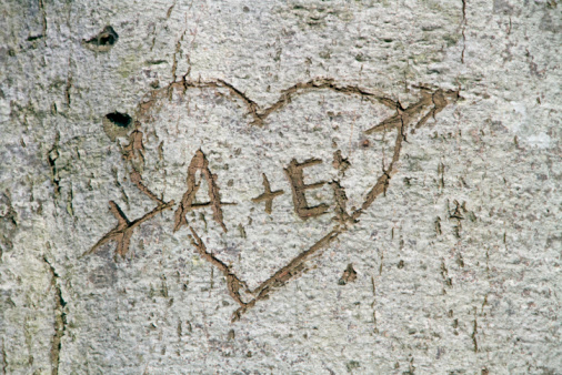Heart shape on a tree indicating a health walk route in the woodland