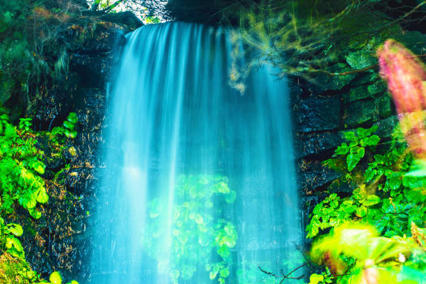 long exposure on waterfall at the royal botanic garden Edinburgh Scotland