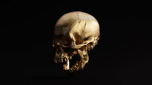 istock Gold Skull and Jaw Bone Open 3Q Left 1056409480