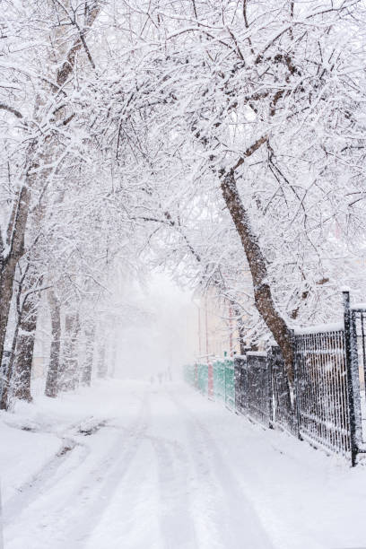 istock Snow covered trees and road during plentiful snowfall in winter day. 1056410632