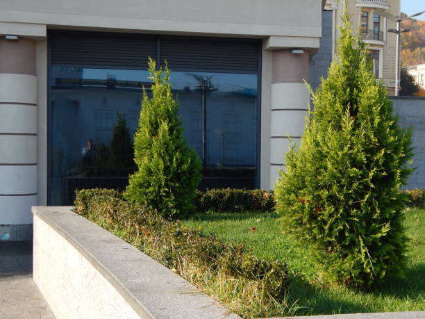 Garden park landscape design elements in architecture