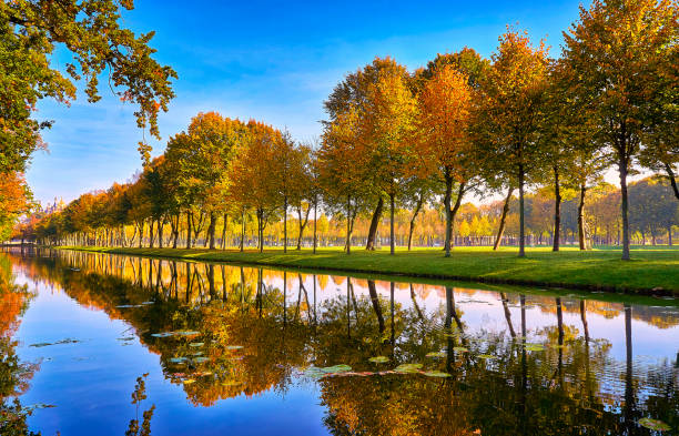 Lakeside Reflection