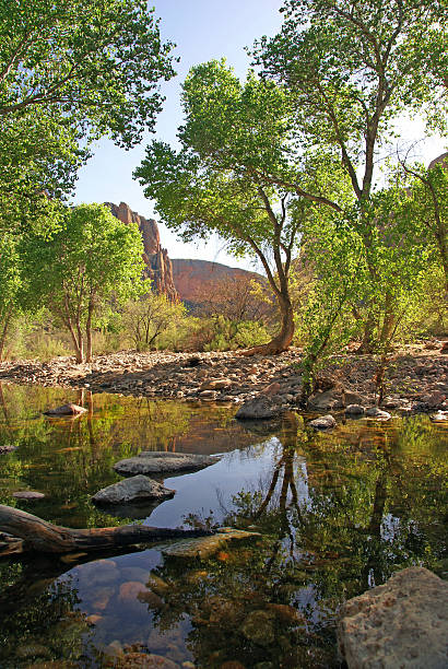 Arizona. Fish Creek Canyon stock photo