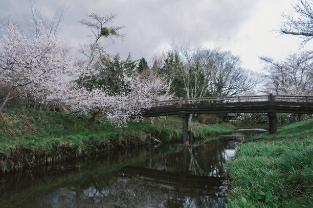 istock A small bridge over a creek with many trees and grass. 1056425220