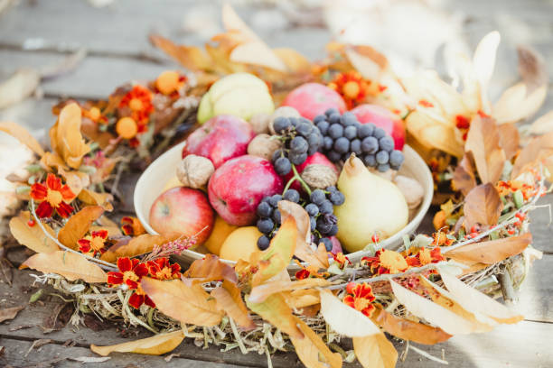 istock Autumn organic fruits 1056428678