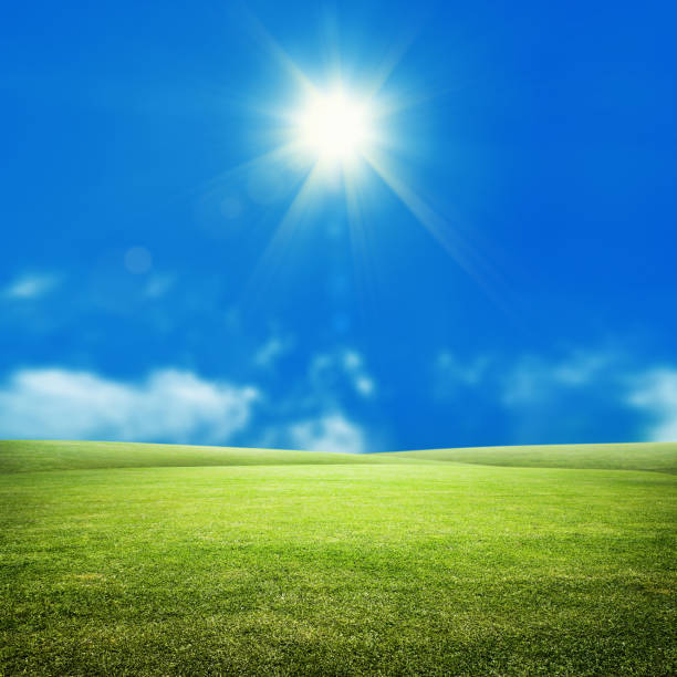 istock Empty green grass field over sunny sky with sunbeam 1056429812