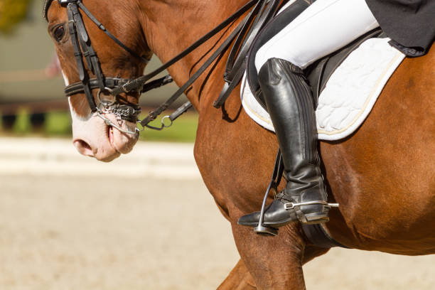 istock Jockey riding boot and horse 1056437066