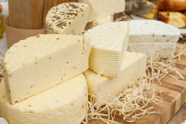 istock Many sorts of cheese 1056437082