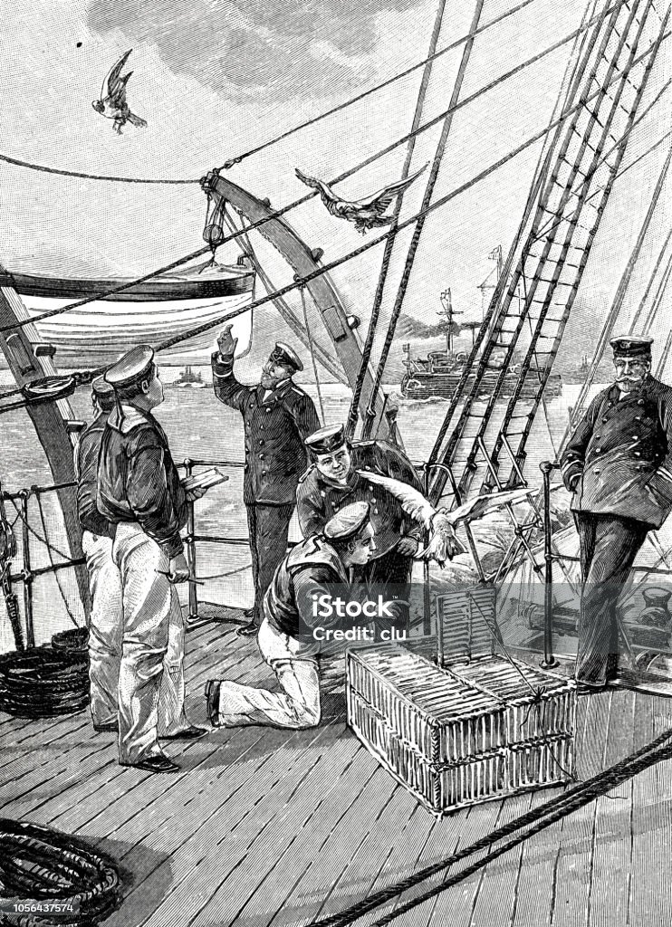 Carrier pigeons are released on a ship Illustration from 19th century 19th Century stock illustration