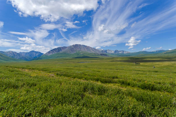 istock A path through the Oroi Pass to Shavlinsky Lakes. 1056442272