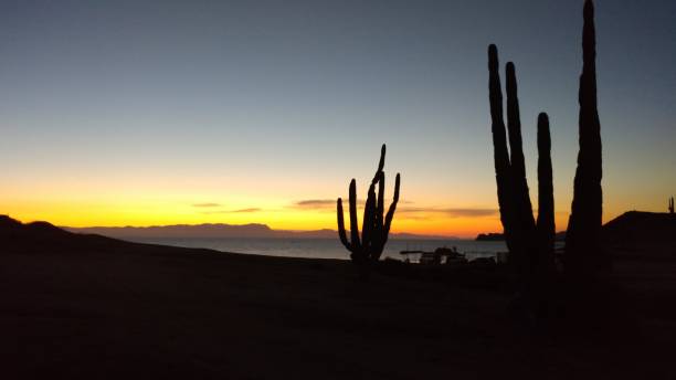 istock Beautiful Sunset in Kino Bay 1056443612