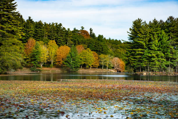 istock Beautiful lake in autumn forest. 1056444718