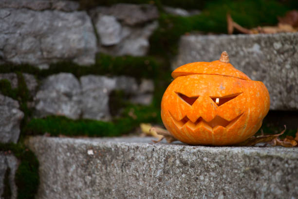 istock Halloween pumpkin outdoors 1056460194