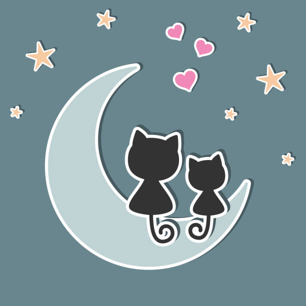 A Beautiful Two Cute Cats In Love Sitting On The Moon At Night Stock  Illustration - Download Image Now - iStock