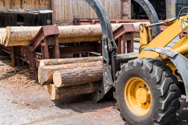istock Forklift truck grabs wood in a wood processing plant. Large log loader unloading a log truck in the log yard at a conifer log mill. Processing of timber at the sawmill. 1056463864