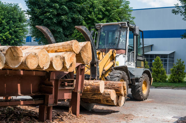 istock Forklift truck grabs wood in a wood processing plant. Large log loader unloading a log truck in the log yard at a conifer log mill. Processing of timber at the sawmill. 1056463906