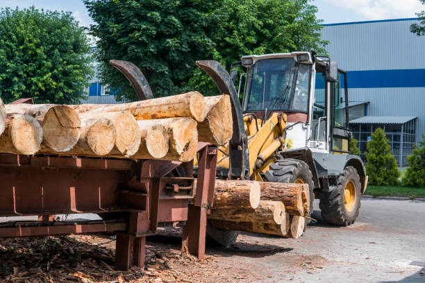 istock Forklift truck grabs wood in a wood processing plant. Large log loader unloading a log truck in the log yard at a conifer log mill. Processing of timber at the sawmill. 1056463924
