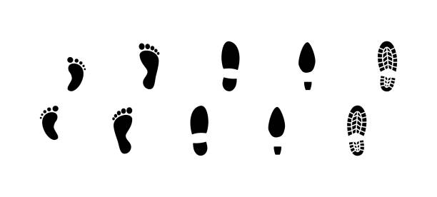 Human footprints marks set. Baby, male, female feet imprints. Human footprints marks set. Baby, male, female feet imprints. Barefoot and boot footprints. high heel footprint stock illustrations