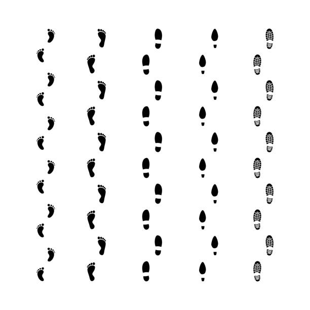 Footprints trails marks set. Male, female, baby feet imprint tracks. Footprints trails marks set. Male, female, baby feet imprint tracks. Black vector human shoe and barefoot footprint tracks. high heel footprint stock illustrations