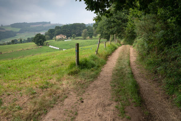 Camino de Santiago trail between Tineo and Pola de Allande, Asturias, Spain