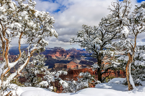 Beautiful Snow Day on the South Rim of Grand Canyon National Park, Arizona