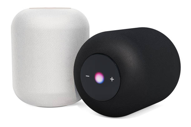 istock Black and white smart speakers, 3D rendering isolated on white background 1056477422