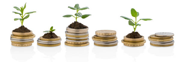 istock Coins with small plants growing symbolizes investments 105648541