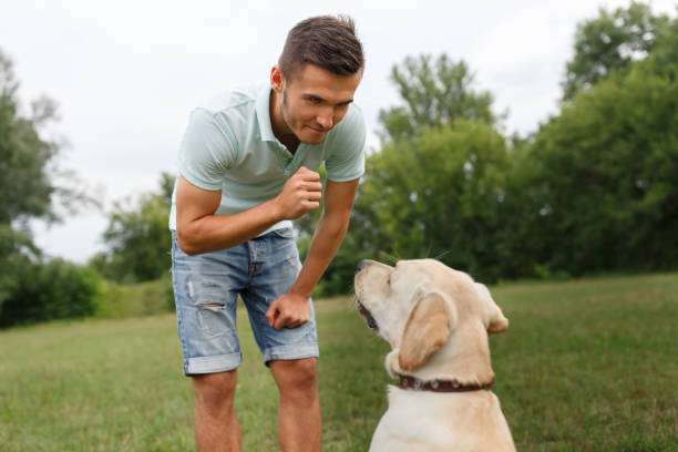 istock Young man with his friend - dog labrador 1056497486
