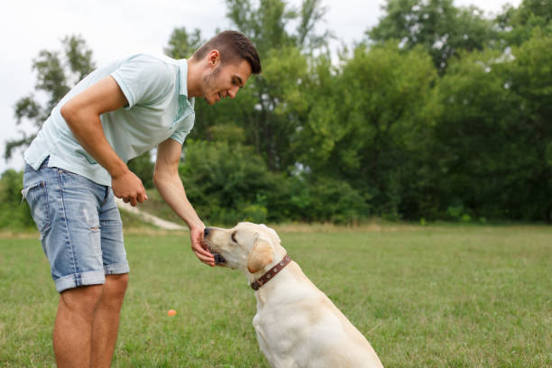 istock Young man with his friend - dog labrador 1056497764