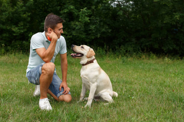 istock Young man with his friend - dog labrador 1056497796