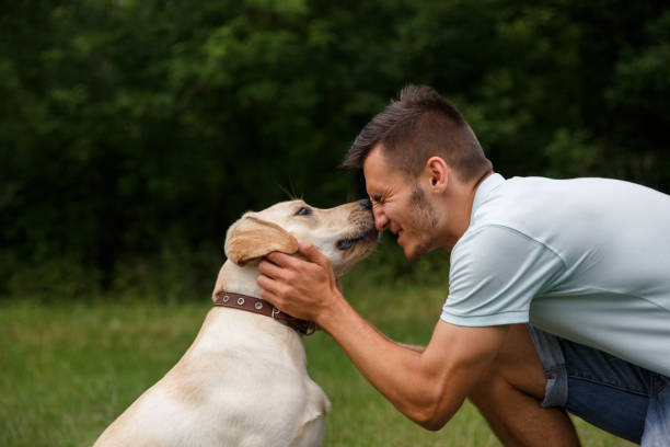 istock Young man with his friend - dog labrador 1056497828