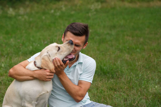 istock Young man with his friend - dog labrador 1056497910