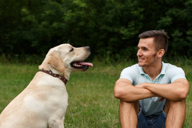 istock Young man with his friend - dog labrador 1056497990