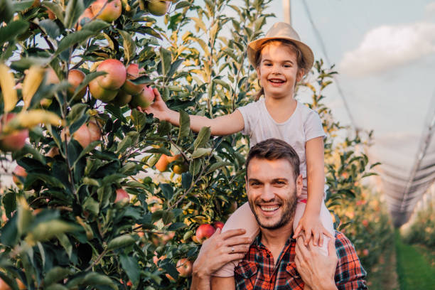 istock Girl at apple orchard with her father 1056502670