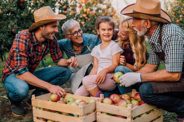 istock Happy family picking up apples 1056502824