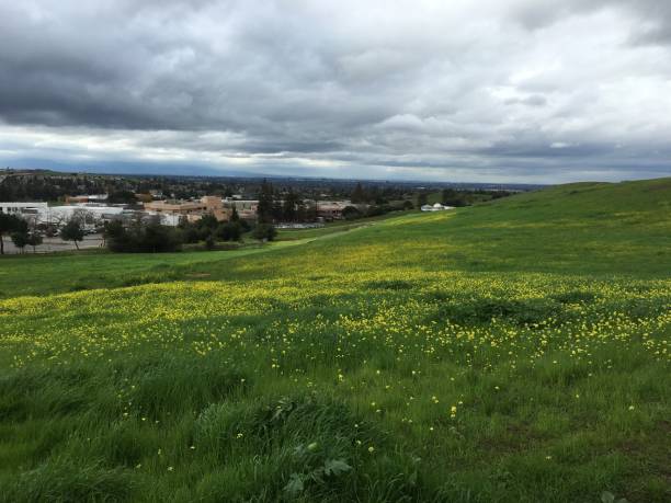 istock Overcast spring evening hiking at Evergreen Montgomery Hill Park in San Jose, CA 1056504128