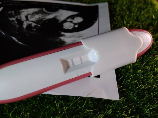 istock pregnancy test pack positive result at green grass 1056511810