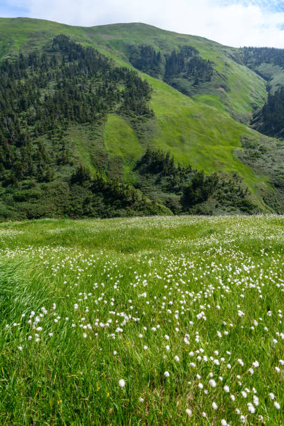 istock Mt.Makihata in summer 1056511958