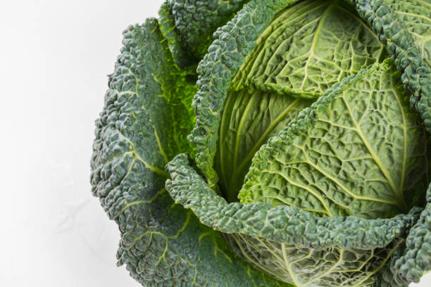 istock Fresh whole raw green savoy cabbage vegetable 1056511964