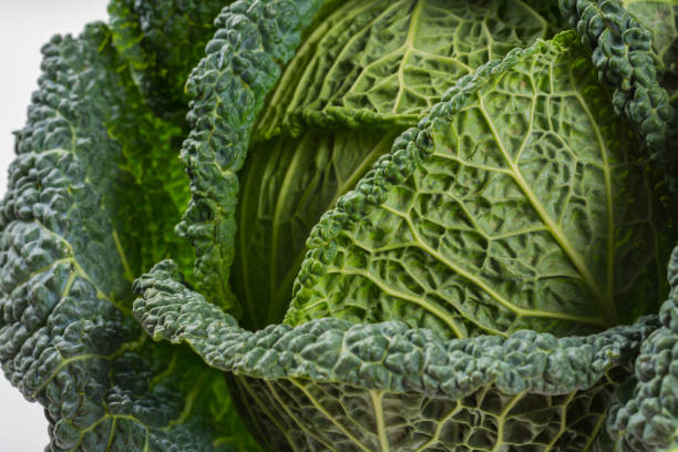 istock Fresh whole raw green savoy cabbage vegetable 1056512008