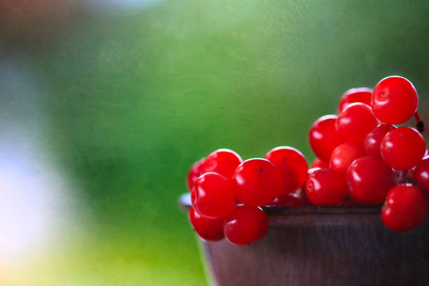 Bowl of bright red cranberries isolated on a green background
