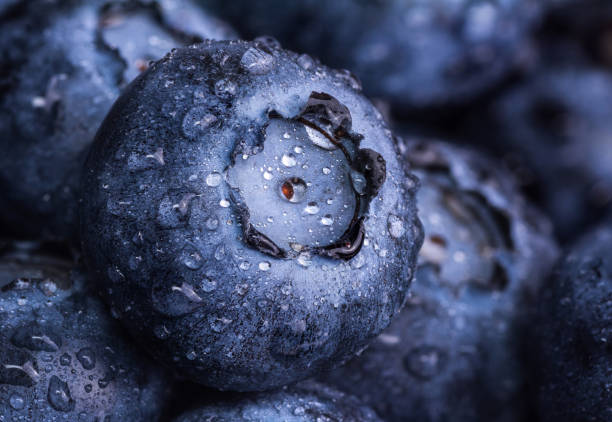 fresca de arándanos madura con gotas de rocío. fondo de berry. foto de macro. - arándano fruta fotografías e imágenes de stock