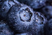 Fresh ripe blueberry with drops of dew. Berry background. Macro photo.