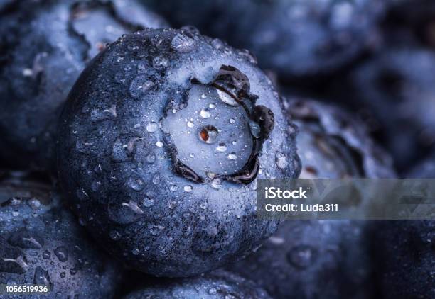 Fresh Ripe Blueberry With Drops Of Dew Berry Background Macro Photo Stock Photo - Download Image Now