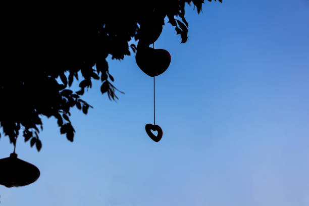 Evening sky with a silhouette heart hanging on a tree.